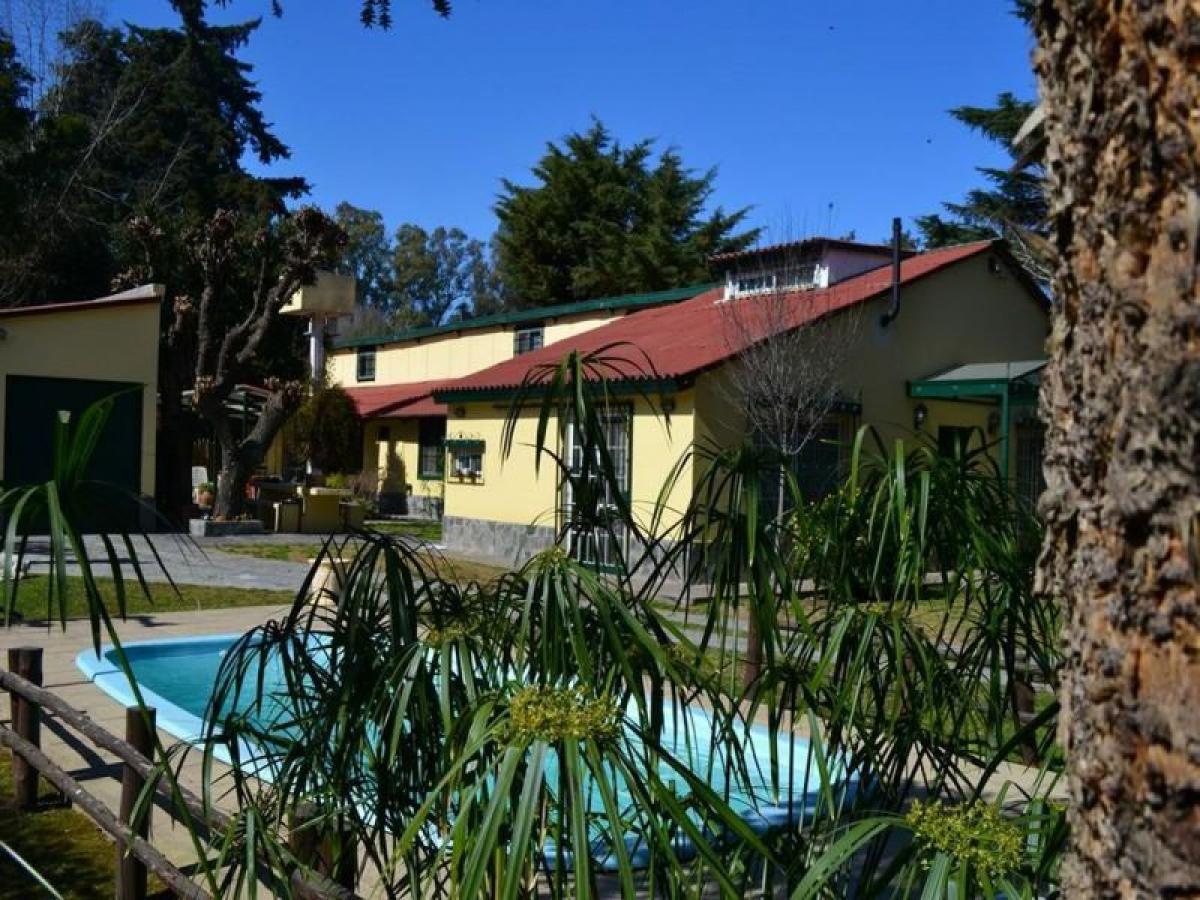 Ferme à Moreno, Argentina No. 38306