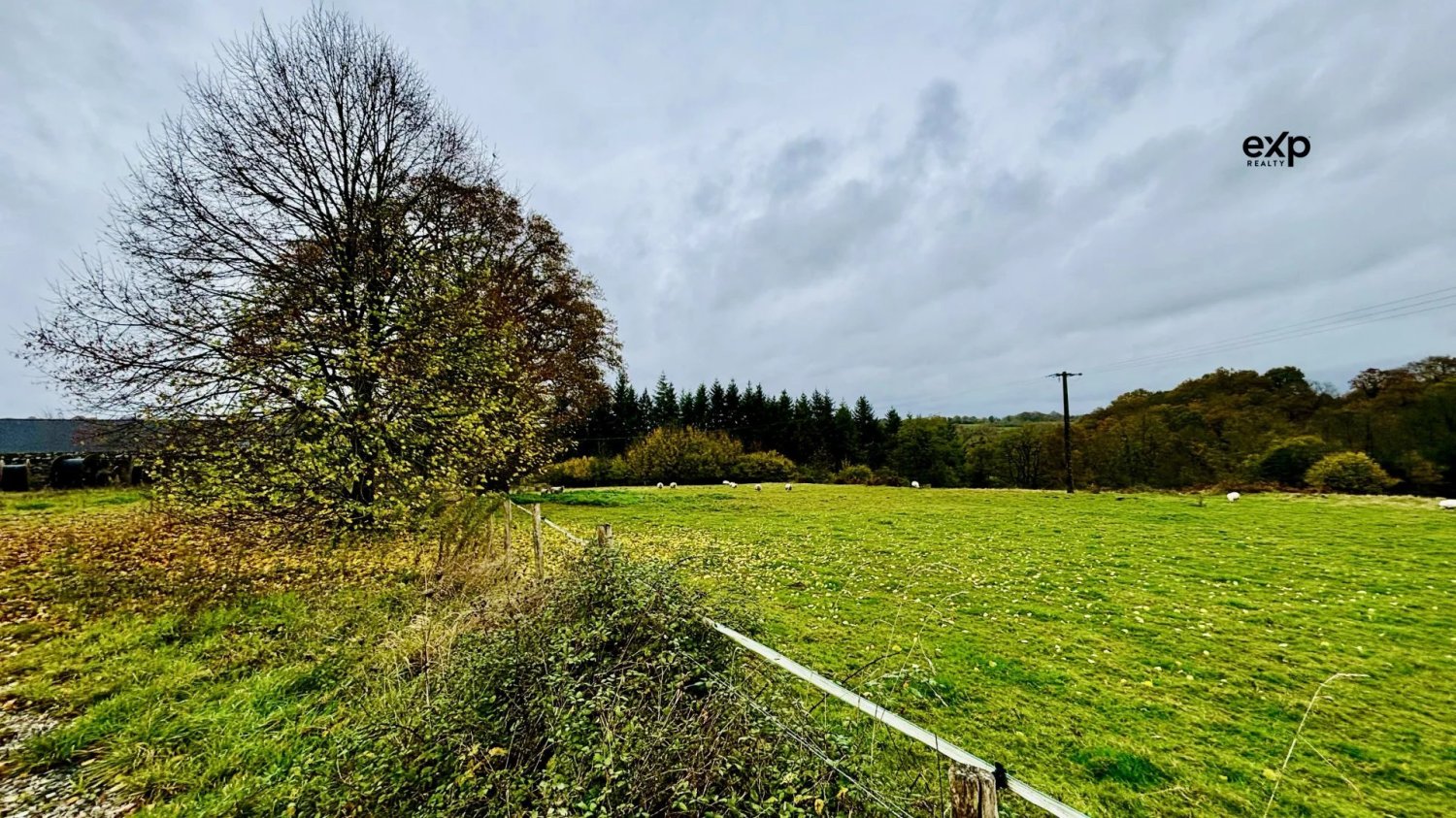  Land in Saint-Fraimbault-de-Prieres, France No. 84081
