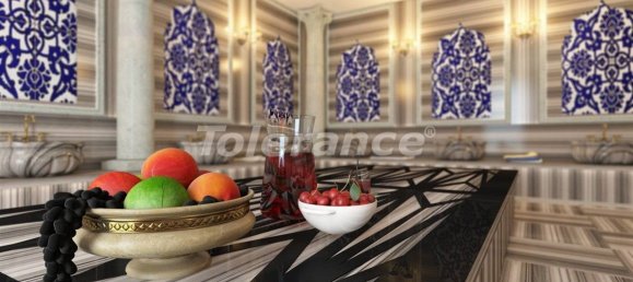 Apartment 1+1 in Kestel, Turkey No. 16208 13