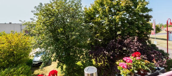 1 Schlafzimmer Wohnung in Leipzig, Germany, Nr. 310503 2