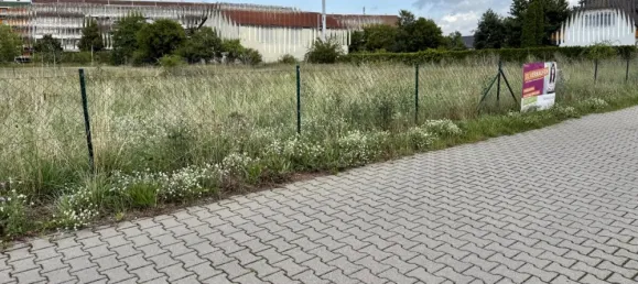  Land in Wittenberg, Germany No. 309519 4