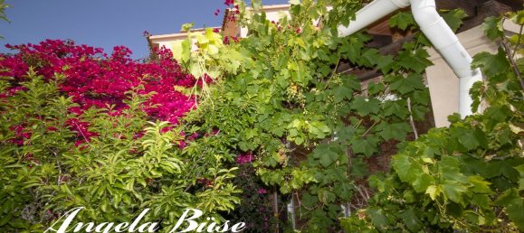 3 bedrooms House in Manacor, Spain No. 152608 7