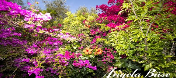 3 bedrooms House in Manacor, Spain No. 152608 16