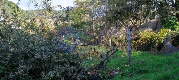 Grundstück in Baiao, Portugal 1390m², Nr. 41125 4