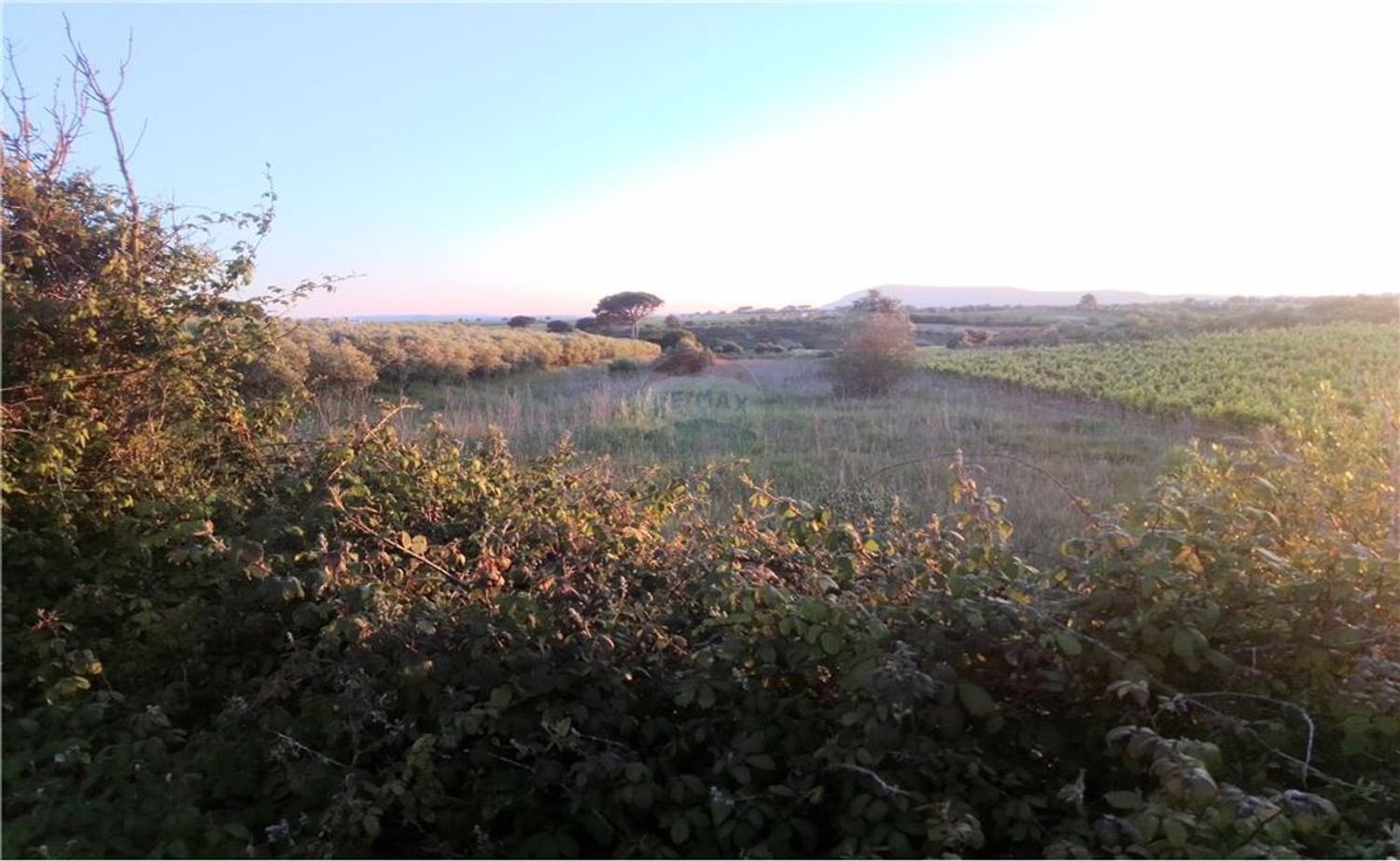 4720m² Land in Azambuja, Portugal No. 58333