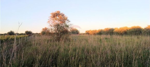 4720m² Land in Azambuja, Portugal No. 58333 8