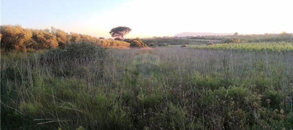 4720m² Land in Azambuja, Portugal No. 58333 5