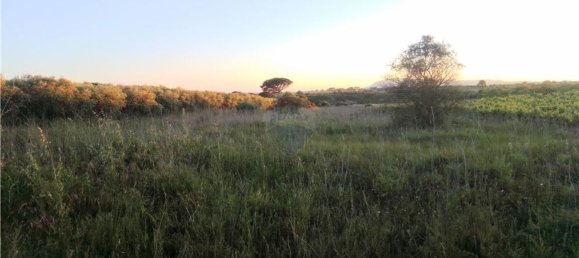 4720m² Land in Azambuja, Portugal No. 58333 4