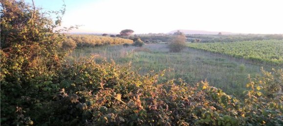 4720m² Land in Azambuja, Portugal No. 58333 2