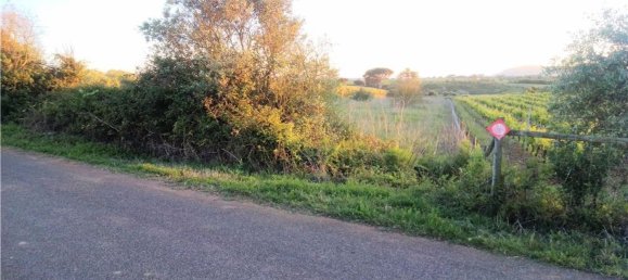 4720m² Land in Azambuja, Portugal No. 58333 3