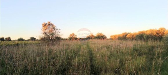 4720m² Land in Azambuja, Portugal No. 58333 6