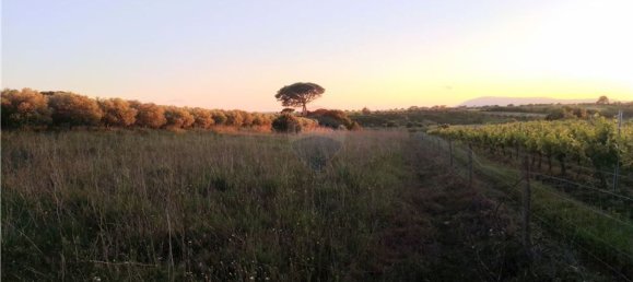 4720m² Land in Azambuja, Portugal No. 58333 7