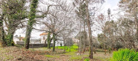 5 غرف نوم منزل في Arega, Portugal رقم 16546 44