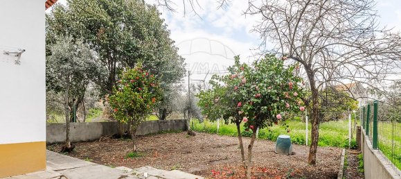 5 غرف نوم منزل في Arega, Portugal رقم 16546 37