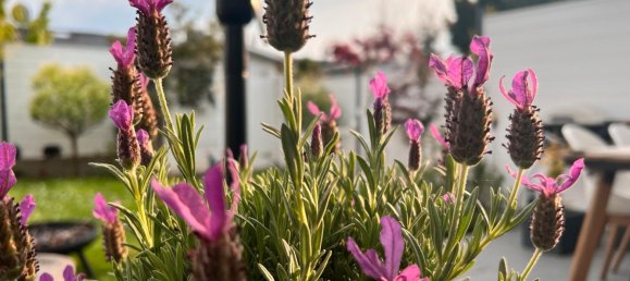 Таунхаус с 3 спальнями в Веттерау, Германия № 361456 7