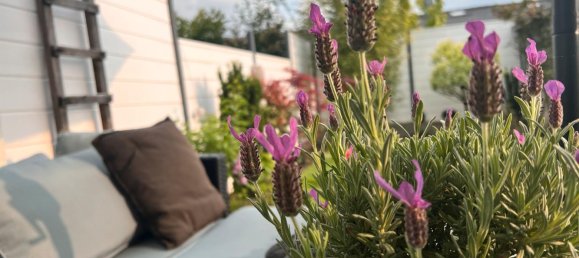 Таунхаус с 3 спальнями в Веттерау, Германия № 361456 9