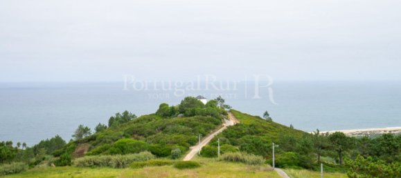 4 bedrooms House in Nazare, Portugal No. 121214 19