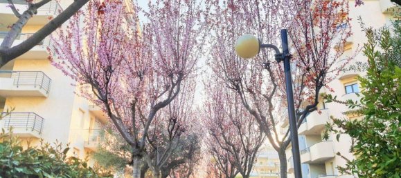 4 rooms Penthouse in Montesilvano, Italy No. 28360 2