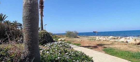 4 bedrooms House in Chloraka, Cyprus No. 7561 6