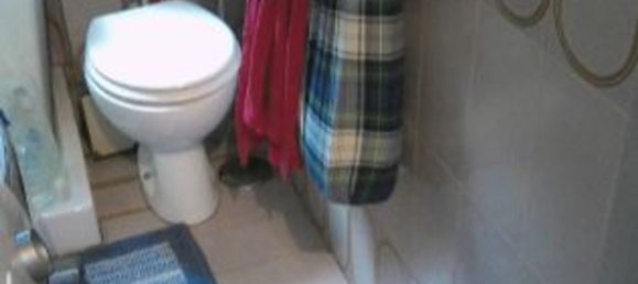 5 rooms Apartment in Milan, Italy No. 245423 13