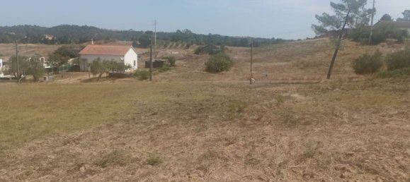 2880m² Land in Rio Maior, Portugal No. 311878 7