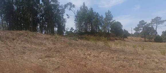 2880m² Land in Rio Maior, Portugal No. 311878 9