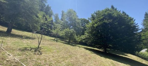 Grundstück in Tulle, France 2000m², Nr. 312132 2