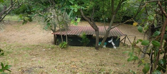 5 bedrooms Villa in Cetona, Italy No. 168600 13