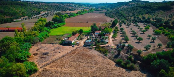 7 Schlafzimmer Haus in Torres Novas, Portugal, Nr. 142155 6