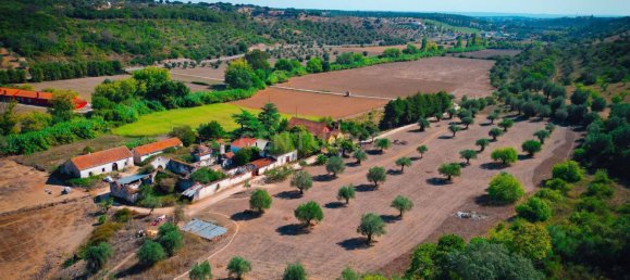 7 Schlafzimmer Haus in Torres Novas, Portugal, Nr. 142155 3