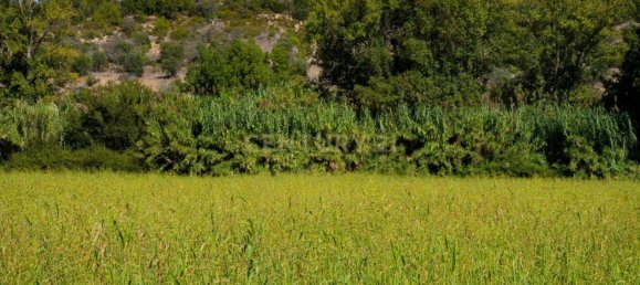 7 Schlafzimmer Haus in Torres Novas, Portugal, Nr. 142155 14