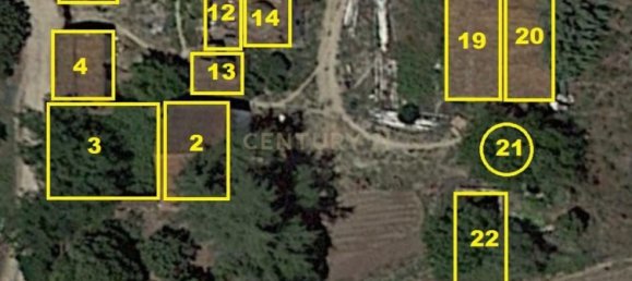 7 Schlafzimmer Haus in Torres Novas, Portugal, Nr. 142155 7