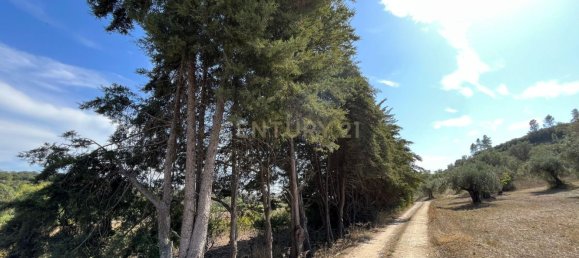 7 Schlafzimmer Haus in Torres Novas, Portugal, Nr. 142155 8