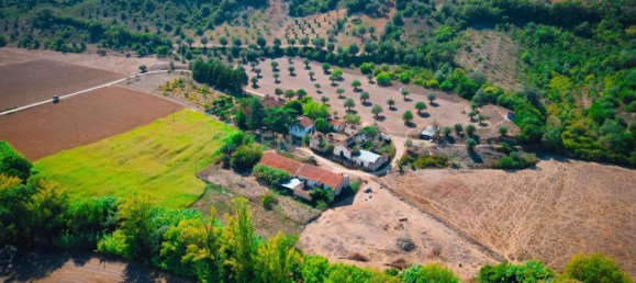 7 Schlafzimmer Haus in Torres Novas, Portugal, Nr. 142155 47