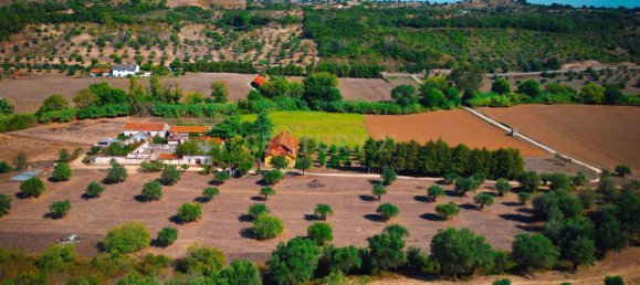 7 Schlafzimmer Haus in Torres Novas, Portugal, Nr. 142155 46