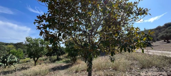 7 Schlafzimmer Haus in Torres Novas, Portugal, Nr. 142155 13