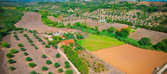 7 Schlafzimmer Haus in Torres Novas, Portugal, Nr. 142155 4