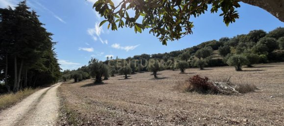 7 Schlafzimmer Haus in Torres Novas, Portugal, Nr. 142155 11