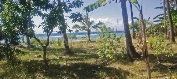  Land in Nusa Penida, Indonesia No. 1187 4