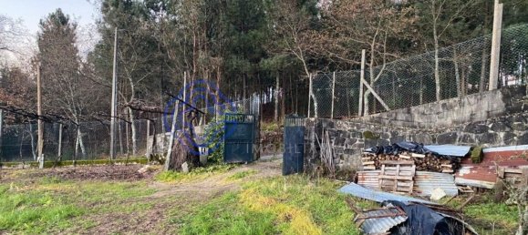 5 Schlafzimmer Haus in Felgueiras, Portugal, Nr. 47844 9