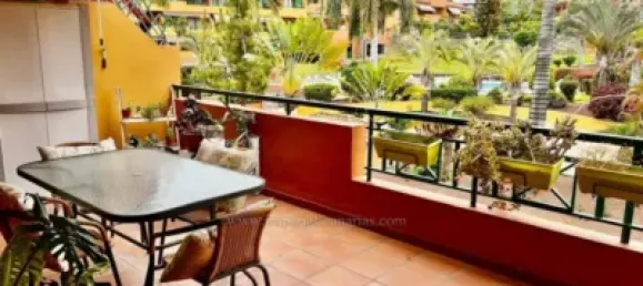 1 chambre Appartement à Puerto de la Cruz, Spain No. 172677 7