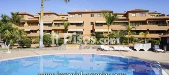 1 chambre Appartement à Puerto de la Cruz, Spain No. 172677 10