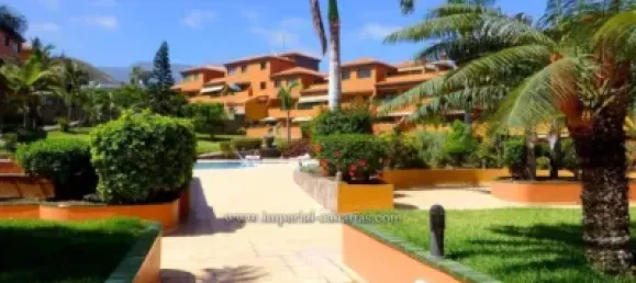 1 chambre Appartement à Puerto de la Cruz, Spain No. 172677 8