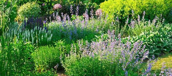 Terreno en Ludwigshafen am Rhein, Germany No. 275323 9