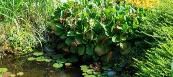 Terreno en Ludwigshafen am Rhein, Germany No. 275323 12