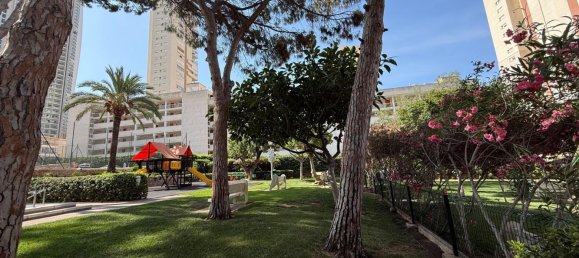 1 bedroom Apartment in Benidorm, Spain No. 152474 18