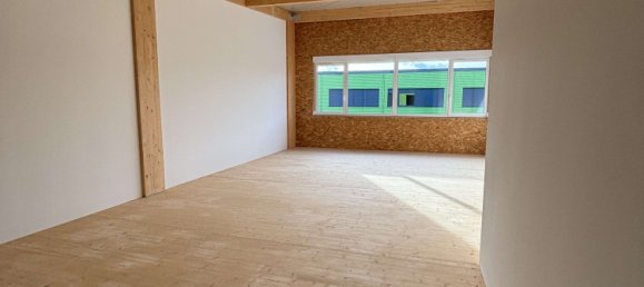 171m² Commercial property in Baden-Wurttemberg, Germany No. 64324 4