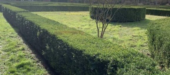 15 rooms Villa in Monteriggioni, Italy No. 34493 8