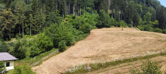 Земельный участок 800м² в Фельдкирхен ин Кернтен, Австрия № 215015 3