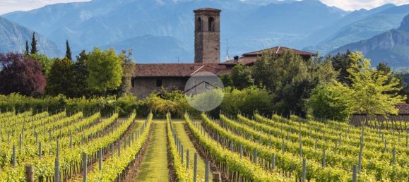 3 bedrooms Land in Erbusco, Italy No. 142456 13